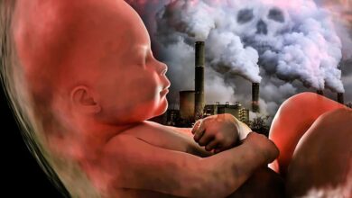 هشدار درباره پیامدهای آلودگی هوا بر سلامت مادر و جنین - خبرگزاری مهر ایران و جهان