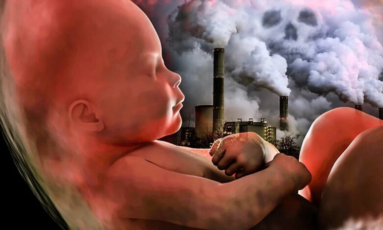 هشدار درباره پیامدهای آلودگی هوا بر سلامت مادر و جنین - خبرگزاری مهر ایران و جهان