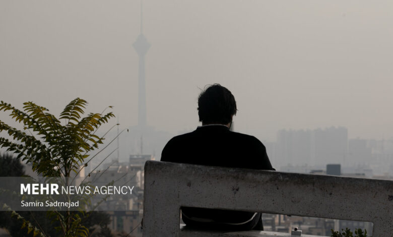 ۳۵۷ تهرانی در یک هفته بر اثر آلودگی هوا جان باختند - خبرگزاری مهر ایران و جهان