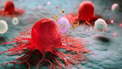 سرطان چگونه باعث مرگ می شود؟ نظریه جدید لخته شدن خون - خبرگزاری مهر | اخبار ایران و جهان