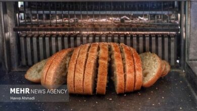 کمپین ملی اطلاع رسانی تغذیه سالم با شعار «نان و سلامت» برگزار می شود - خبرگزاری مهر ایران و جهان.