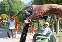 موج سالمندی با شتاب بی‌سابقه در راه است / ضرورت بازنگری در حکمرانی جمعیت