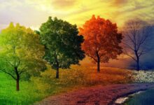 حال و هوای سرد و خشک پاییز و چالش های جسمی و روحی آن