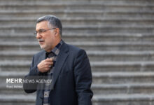 ظفرقندی: افرادی که جزو گروه های پرخطر هستند باید واکسن آنفولانزا بزنند - خبرگزاری مهر | اخبار ایران و جهان