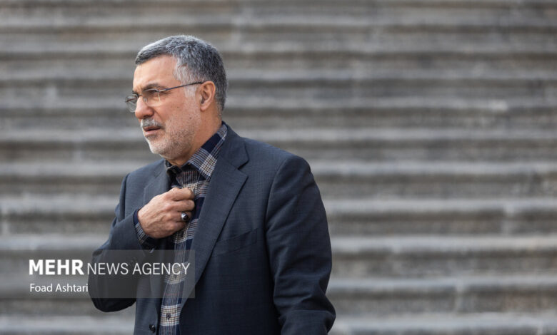 ظفرقندی: افرادی که جزو گروه های پرخطر هستند باید واکسن آنفولانزا بزنند - خبرگزاری مهر | اخبار ایران و جهان