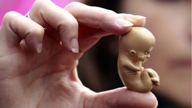 پیامدهای سقط جنین غیرقانونی بسیار گسترده و خطرناک است - خبرگزاری مهر ایران و جهان