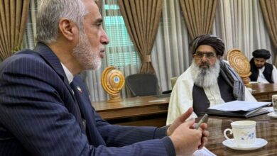 جزئیات سفر پیرصالحی به کابل; تسهیل صادرات دارو و تجهیزات به افغانستان - خبرگزاری مهر ایران و جهان