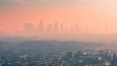 آلودگی هوا عملکرد ریه را کاهش می دهد - خبرگزاری مهر ایران و جهان