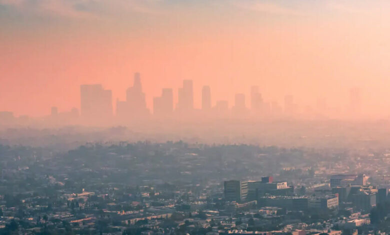 آلودگی هوا عملکرد ریه را کاهش می دهد - خبرگزاری مهر ایران و جهان