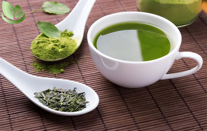 چای ماچا و مضرات آن چگونه از چای ماچا برای کاهش وزن استفاده کنیم + چای ماچا برای چیست؟