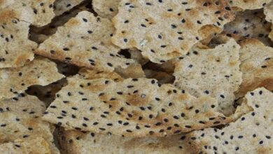 فیبر موجود در نان سالم به بهبود هضم غذا کمک می کند - خبرگزاری مهر ایران و جهان