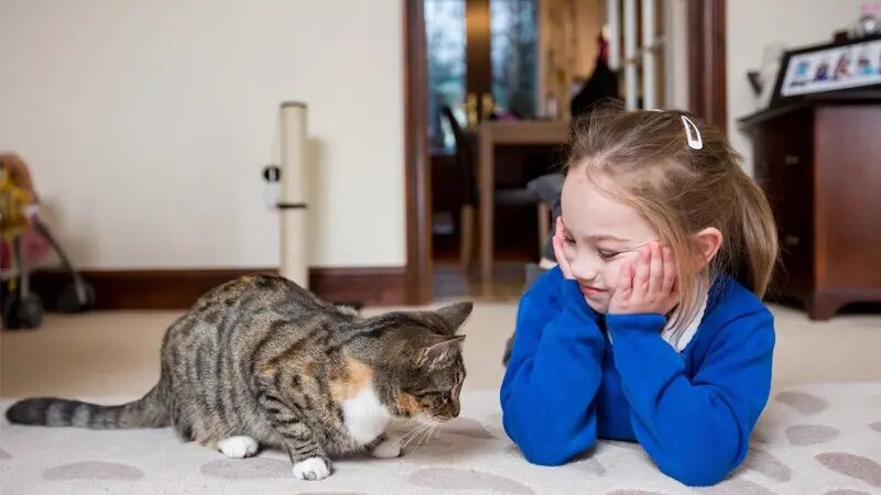 خطرات پنهان نگهداری از حیوانات در خانه