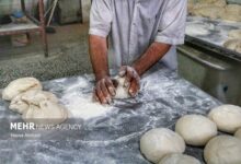 مصرف نان سفید قند خون را سریعتر افزایش می دهد - خبرگزاری مهر ایران و جهان