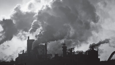 آلودگی هوا چگونه سینوزیت مزمن را تشدید می کند؟ - خبرگزاری مهر اخبار ایران و جهان