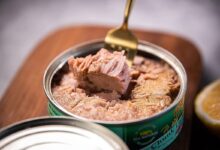 ردپای «قطوس خانگی» در مسمومیت غذایی! - خبرگزاری مهر اخبار ایران و جهان