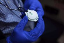 دیابت، مرگ خاموشی که جدی گرفته نمی شود - خبرگزاری مهر ایران و جهان