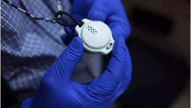 دیابت، مرگ خاموشی که جدی گرفته نمی شود - خبرگزاری مهر ایران و جهان