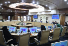 ظفرقندی: اجرای سیاست های جمعیتی نیازمند عزم ملی است - خبرگزاری مهر ایران و جهان