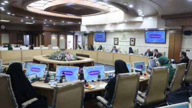 ظفرقندی: اجرای سیاست های جمعیتی نیازمند عزم ملی است - خبرگزاری مهر ایران و جهان