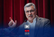 وزیر بهداشت: اکنون در اوج آنفولانزا هستیم - خبرگزاری مهر ایران و جهان