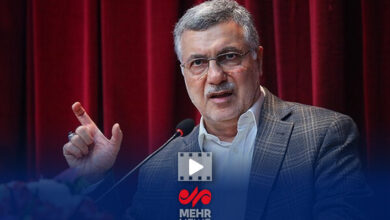 وزیر بهداشت: اکنون در اوج آنفولانزا هستیم - خبرگزاری مهر ایران و جهان