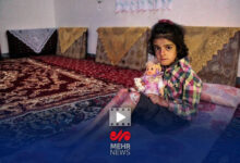 هاشمی گلپایگانی: حالا می خواهیم سند رسمی فعالیت های بنیاد را ارائه کنیم