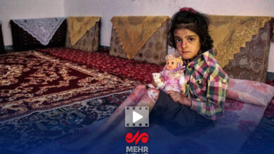 هاشمی گلپایگانی: حالا می خواهیم سند رسمی فعالیت های بنیاد را ارائه کنیم