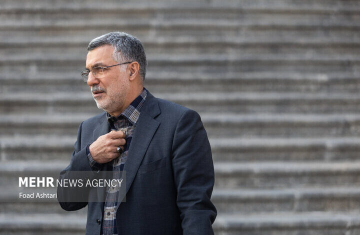 ظفرقندی: دستورالعمل آنفلوآنزا صادر شد - خبرگزاری مهر ایران و جهان