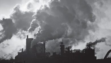 از استرس تا سرطان؛ آلودگی هوا چه ضرری برای بدن دارد؟