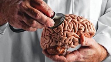 مغز جوانتر می خواهید؟ این توصیه ها را دنبال کنید - خبرگزاری مهر ایران و جهان