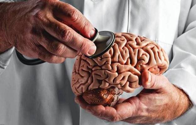 مغز جوانتر می خواهید؟ این توصیه ها را دنبال کنید - خبرگزاری مهر ایران و جهان