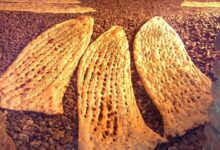 نان ناسالم عامل بسیاری از مشکلات گوارشی است - خبرگزاری مهر ایران و جهان