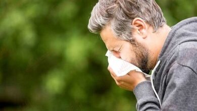 باد پاییزی ذرات آلرژی را در هوا پخش می کند. مواظب ریه ها باشید - خبرگزاری مهر ایران و جهان