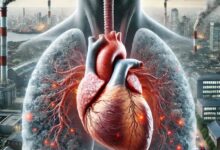 آلودگی هوا قلب را هدف گرفته است هشدار جدی کارشناسان - خبرگزاری مهر ایران و جهان