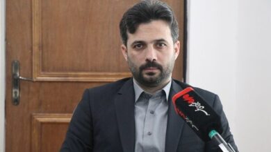 مدیران بی کفایت دلیل اصلی شکست قوانین جمعیتی هستند - خبرگزاری مهر ایران و جهان