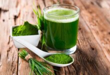 هشدار سازمان غذا و دارو در مورد مصرف اسپیرولینا - خبرگزاری مهر ایران و جهان