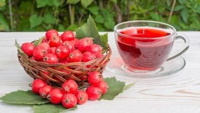 میوه ای برای سلامت قلب و آرامش روحی