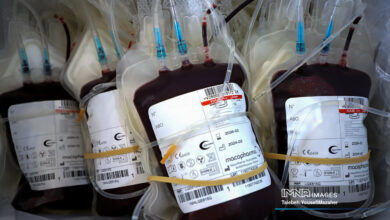 اهدای خون یک نفر جان 3 بیمار را نجات داد/ اهدای خون زنجیره در هم تنیده بشریت است