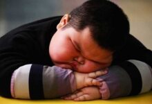 هشدار درباره بحران بی تحرکی در تهران؛ 60 درصد شهروندان تهرانی غیرفعال هستند - خبرگزاری مهر ایران و جهان