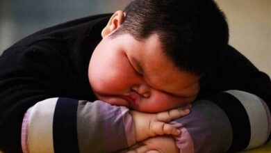 هشدار درباره بحران بی تحرکی در تهران؛ 60 درصد شهروندان تهرانی غیرفعال هستند - خبرگزاری مهر ایران و جهان