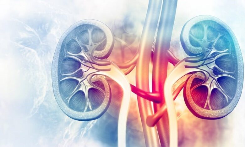 پیشگیری از بیماری های کلیوی با معاینات منظم و مصرف صحیح مایعات امکان پذیر است
