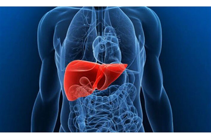 ۳۰ درصد ایرانی‌ها کبد چرب دارند؛ سکوت این بیماری را جدی بگیرید