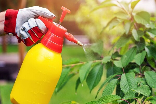 آفت کش ها میکروب های مفید روده را به خطر می اندازند - خبرگزاری مهر | اخبار ایران و جهان