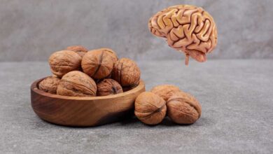 تاثیر مصرف گردو بر عملکرد مغز و بهبود سلامت آن