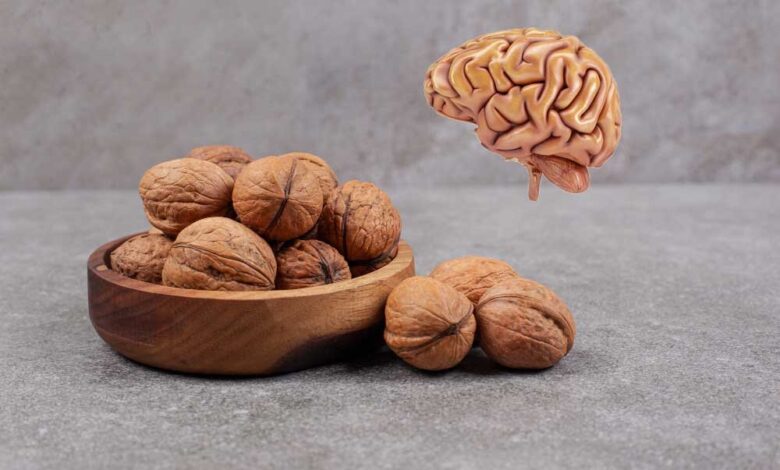 تاثیر مصرف گردو بر عملکرد مغز و بهبود سلامت آن