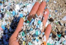 میکروپلاستیک؛ مهمانان پنهان و خطرناک بدن انسان - خبرگزاری مهر ایران و جهان