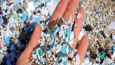 میکروپلاستیک؛ مهمانان پنهان و خطرناک بدن انسان - خبرگزاری مهر ایران و جهان