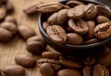 کافئین برای بدن مفید است یا مضر - خبرگزاری مهر ایران و جهان