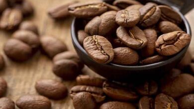 کافئین برای بدن مفید است یا مضر - خبرگزاری مهر ایران و جهان