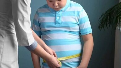 اعتقاد به اینکه غذا خوردن بعد از ساعت 21 و چاقی مبنای علمی مشخصی ندارد - خبرگزاری مهر ایران و جهان